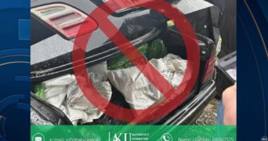 AKU, kontroll në tregun e Milotit/ Bllokohen rreth 73 kg mish derri, tregtohej jashtë standardeve