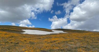 Parashikimi i motit, 21 shkurt 2026