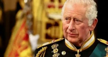 Mbreti e dinte për vëllanë? Karl III mori informacione për keqpërdorimin e emrit të familjes mbretërore nga Andrew