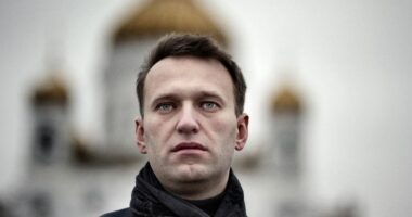 Akuzat për helmimin e aktivistit rus, Kremlini: Vendet europiane të paraqesin prova konkrete!