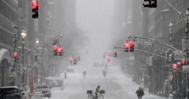 Vala ekstreme e të ftohtit, 18 viktima në New York