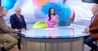 Nga ferma në tryezë/ Kamberi: Ja katër shtyllat e rëndësishme të sigurisë ushqimore