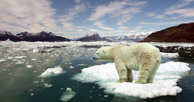 Alarmi i shkencëtarëve/ Bota drejt ngrohjes globale me 3°C, Europa ende e papërgatitur