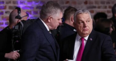 Sllovakia dhe Hungaria kërcënojnë Ukrainën