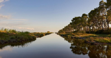 Klima prek biodiversitetin detar/ Luhatjet e temperaturave kanë afruar gjallesa të panjohura në ujërat tona
