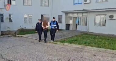 Iu gjetën në banesë 3 armë zjarri dhe municione luftarake/ Përmet, arrestohet 33-vjeçari