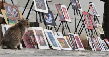 Piktorja e pedonales/ Në rrugë me penel në dorë, frymëzim nga njerëzit