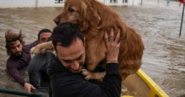 Stuhi shkatërrimtare në Gadishullin Iberik, kërkohet shtyrja e zgjedhjeve presidenciale në Portugali