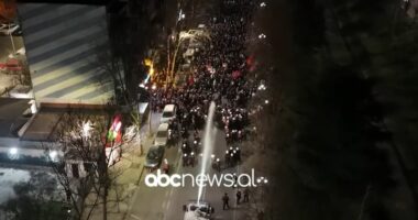 Protesta e opozitës/ Koçiu: Provokim të shkosh me molotovë drejt Policisë. Berisha, Don Kishot që grindet me koshat e mbeturinave!