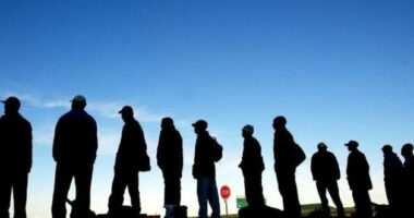 Të huajt, interes për të punuar në Shqipëri/ Vlorë, punëtorë nga India, Filipinet e Pakistani i gjen në sektorë të ndryshëm