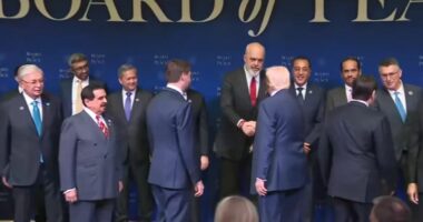 Fotolajm/ Trump shtrëngon duart me Ramën