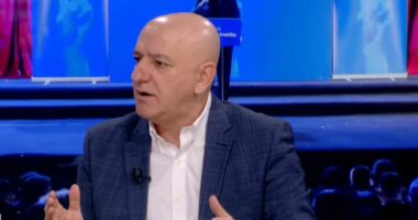 “Salianji kërkon energjizimin e PD”, Bejko: Kush hyn në PD me mendjen e tij, del me mendtë e Berishës!
