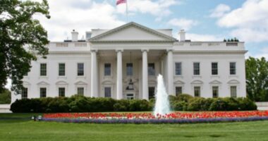 Shtëpia e Bardhë: Tarifat për importet e BE do të jenë 15 për qind