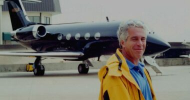 Nisin hetimet ndaj Epstein për përdorimin e bazave ajrore për trafikimin e vajzave