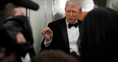 Dosja “Epstein”, reagon presidenti Donald Trump pas dokumenteve të publikuara