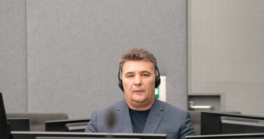 Specialja liron Shalën, Smakën dhe Fazliun