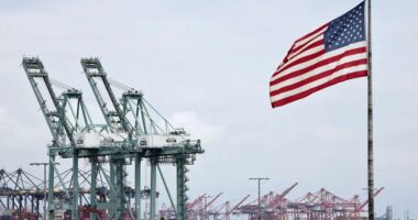 Tarifat e reja globale të Trump hyjnë në fuqi në nivelin 10%, pas vendimit të Gjykatës Supreme