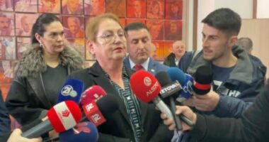 Ministrja e VMRO refuzon shqipen/ Skandali në Tetovë, Janevska: Gjuhë zyrtare është maqedonishtja