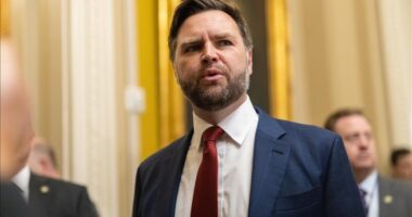 Nënpresidenti i SHBA mbërrin në Armeni për vizitë zyrtare dyditore