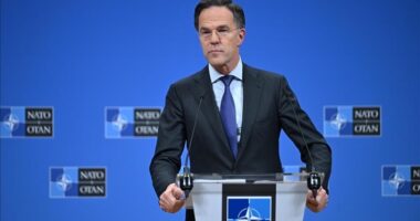 Shefi i NATO: Nuk ka paqe në Evropë pa paqe të vërtetë në Ukrainë