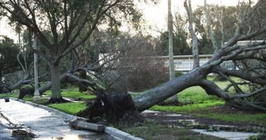 Moti i keq godet Zelandën e Re, ndërpret fluturimet dhe lë mijëra persona pa energji elektrike