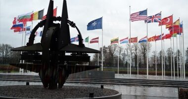 NATO: Turqia, një aleat i fortë, një kontribuues i vlefshëm për sigurinë e përbashkët