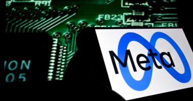 KE paralajmëron kompaninë Meta për politikën e WhatsApp për inteligjencën artificiale