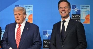 NATO nis stërvitjen për forcimin e pranisë në Arktik