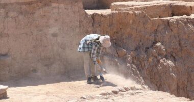 Studim: Njerëzit i regjistronin informacionet 40 mijë vjet më parë, shumë kohë para se të shkruanin