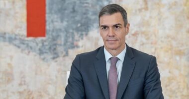 Mbrojtja e të miturve/ Spanja prezanton masat për të frenuar abuzimet në rrjetet sociale