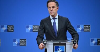 Shefi i NATO: Evropianët të rrisin shpenzimet e mbrojtjes, të mos shqetësohen për angazhimin e SHBA