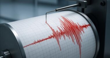 Tërmet i fortë në Zelandën e Re