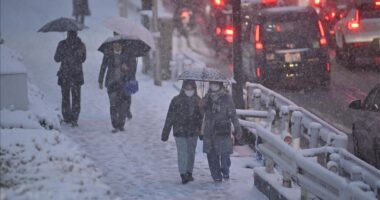 Japoni, 35 të vdekur nga reshjet e dendura të borës dhe moti i keq