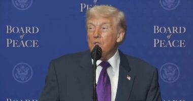 Bordi i Paqes/ Trump u drejtohet liderëve pjesëmarrës: Kemi bërë punë të mirë me paqen