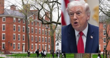 Trump kërkon 1 miliard dollarë dëmshpërblim nga Universiteti i Harvardit