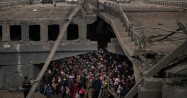 FOTOLAJM/ Ukraina, 4 vite nga pushtimi rus