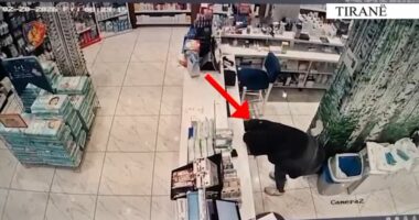 Arrestohet grabitësja 26 vjeçare/ Tiranë, kreu 3 vjedhje, ishte në masën ‘arrest shtëpie’