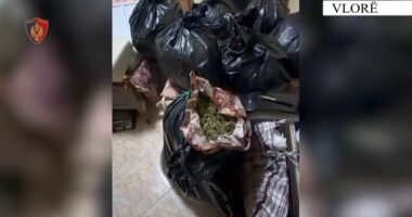 Sekuestrohen 57 kg kanabis në Vlorë/ Arrestohen dy persona