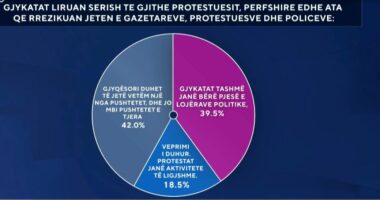 Si e vlerësoni vendimin e gjykatës për lirimin e protestuesve që hodhën molotov? Ja si përgjigjen shqiptarët