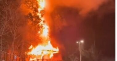 Përfshihet nga flakët lokali në Vlorë, shkak dyshohet një shkëndijë elektrike! Ekipet zjarrfikëse në vendngjarje