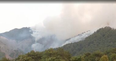 Zjarret, nisin dëmshpërblimet/ Gramsh, shpërndahet gjysma e fondit prej 86.6 milionë lekësh