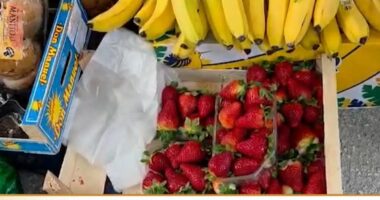 Shkatërrohen luleshtrydhet, rritet çmimi/ Fier, fermerët: Përmbytjet dëmtuan prodhimin