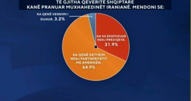Muxhahedinët në Shqipëri, sondazhi: Detyrim ndaj partneritetit me Amerikën