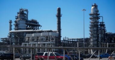 Gjermania dhe Austria hedhin në treg naftë nga rezervat strategjike