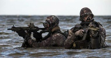 Stërvitje ushtarake SHBA-Seul/ “Mburoja e Lirisë” operacion të përbashkët për sfidat e sigurisë