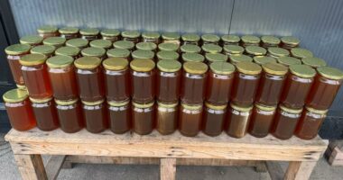 Kapshticë, bllokohet 1 ton mjaltë/ Sasia kishte ardhur për tregtim në vendin tonë, do i nënshtrohet analizave