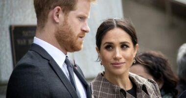 Libri i ri për familjen mbretërore shkakton përplasje mes Harry-t, Meghan dhe autorit