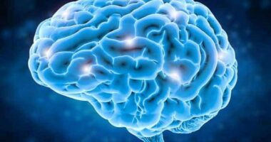 Studimi: Aktivitetet që sfidojnë trurin mund të ndihmojnë në ruajtjen e shëndetit mendor