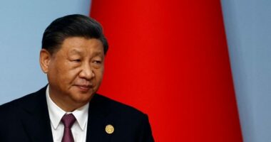 Kina konfirmon dënimin me vdekje për abuzuesit seksualë të të miturve