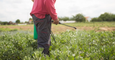 Lufta “vret” plehrimin e tokës/ Fermerët: Po përballojmë kosto më të larta për prodhimin